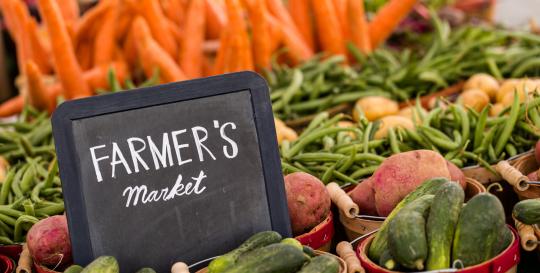 Best Farmer's Markets