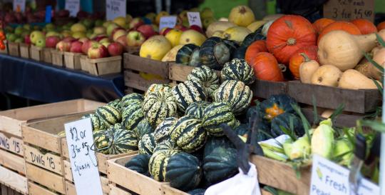 Fall Festivals and Markets